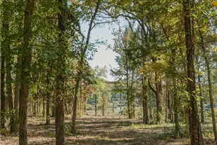 Lot 15 Private Road 5948, Yantis, TX 75497 - Photo 9