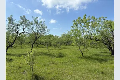Tbd 00 County Road 4160, Frost, TX 76641 - Photo 1