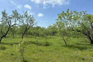 Tbd 00 County Road 4160, Frost, TX 76641 - Photo 1