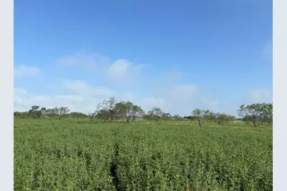 4363 Fm-1126, Corsicana, TX 75110 - Photo 3