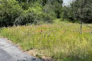 9349 Dickson Rd, Fort Worth, TX 76179 - Photo 9