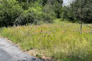 9349 Dickson Rd, Fort Worth, TX 76179 - Photo 11