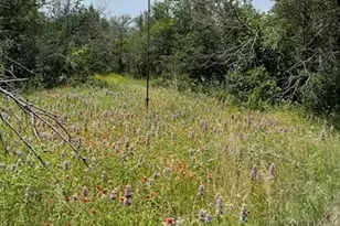 9349 Dickson Rd, Fort Worth, TX 76179 - Photo 13