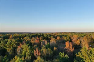 0 Co Rd 2117, Douglassville, TX 75560 - Photo 21