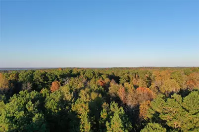 0 Co Rd 2117, Douglassville, TX 75560 - Photo 5