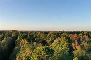 0 Co Rd 2117, Douglassville, TX 75560 - Photo 23