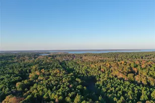 0 Co Rd 2117, Douglassville, TX 75560 - Photo 13