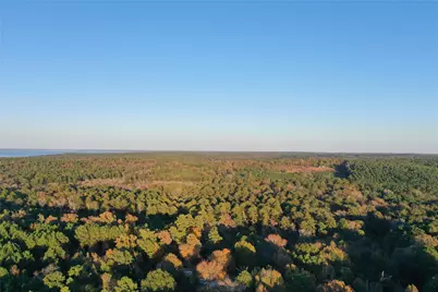 0 Co Rd 2117, Douglassville, TX 75560 - Photo 11