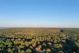 0 Co Rd 2117, Douglassville, TX 75560 - Photo 11