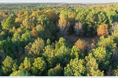 0 Co Rd 2117, Douglassville, TX 75560 - Photo 7