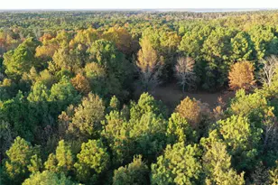 0 Co Rd 2117, Douglassville, TX 75560 - Photo 7