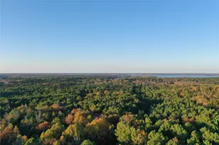 0 Co Rd 2117, Douglassville, TX 75560 - Photo 9