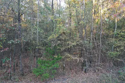 0 Co Rd 2117, Douglassville, TX 75560 - Photo 17