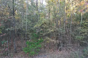 0 Co Rd 2117, Douglassville, TX 75560 - Photo 17