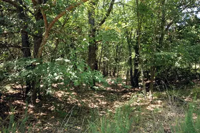 16.72Ac Joe Allen Road, Pilot Point, TX 76258 - Photo 13