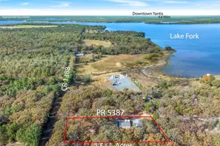 331 Private Rd 5387, Yantis, TX 75497 - Photo 5