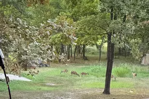 331 Private Rd 5387, Yantis, TX 75497 - Photo 31