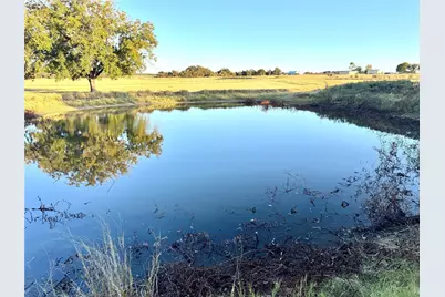 14114 Howard Lake Court, Lipan, TX 76462 - Photo 35