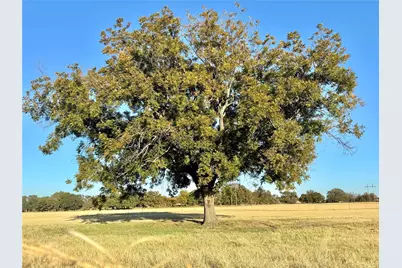 14114 Howard Lake Court, Lipan, TX 76462 - Photo 39