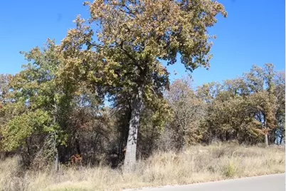 450 Rolling Hills Boulevard, Alvord, TX 76225 - Photo 7