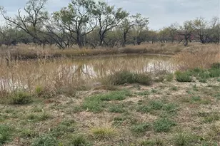 3349 Fm 2652, Graham, TX 76450 - Photo 11