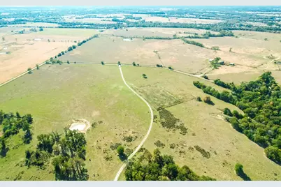 0000 Cr 781, Donie, TX 75838 - Photo 3