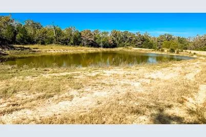 0000 Cr 781, Donie, TX 75838 - Photo 21