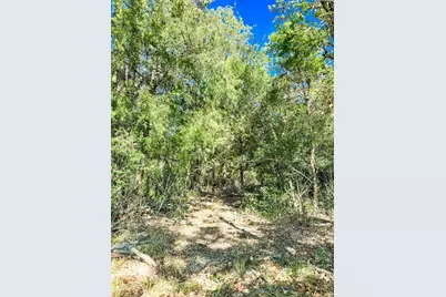 0000 Cr 781, Donie, TX 75838 - Photo 23