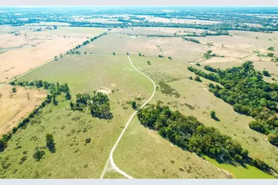 0000 Cr 781, Donie, TX 75838 - Photo 5