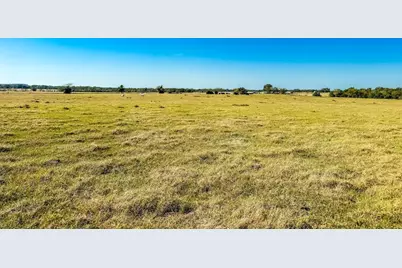 0000 Cr 781, Donie, TX 75838 - Photo 19