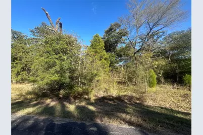 0 Boca-Chica, Malakoff, TX 75148 - Photo 9