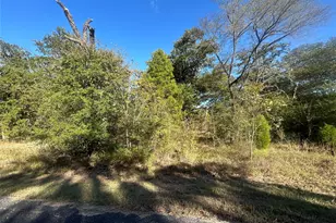 0 Boca-Chica, Malakoff, TX 75148 - Photo 9