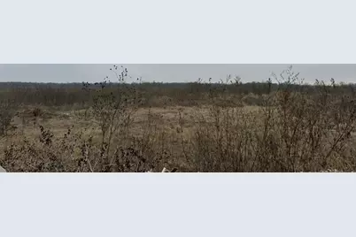 2466 Blackjack Oak Road, Oak Ridge, TX 75161 - Photo 21