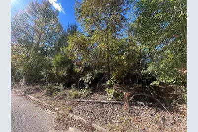 11 Bayshore Drive, Athens, TX 75752 - Photo 3