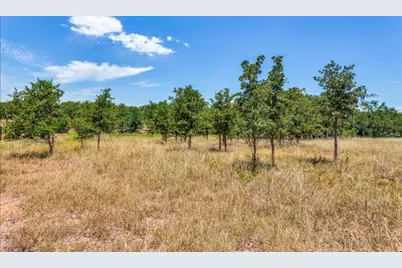 271 Creek Meadow Court, Lipan, TX 76462 - Photo 5