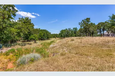 271 Creek Meadow Court, Lipan, TX 76462 - Photo 5