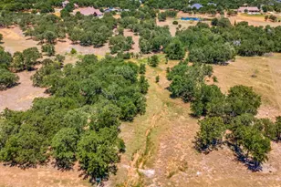 271 Creek Meadow Ct, Lipan, TX 76462 - Photo 1