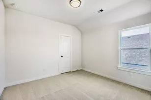 3328 Chinaberry St, Celina, TX 75009 - Photo 21