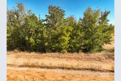 Tbd Lot 25 New Hope Road, Santo, TX 76484 - Photo 9