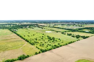 491 Morrison Rd, Howe, TX 75459 - Photo 17