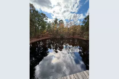 Tbd Stag Road, Gilmer, TX 75644 - Photo 25