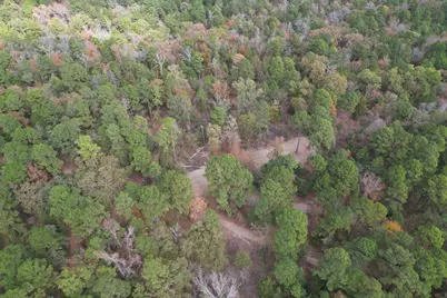 Tbd Stag Road, Gilmer, TX 75644 - Photo 21