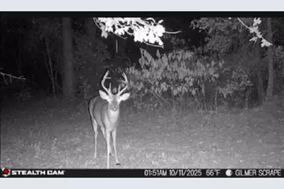 Tbd Stag Road, Gilmer, TX 75644 - Photo 5