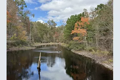 Tbd Stag Road, Gilmer, TX 75644 - Photo 9