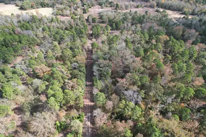 Tbd Stag Road, Gilmer, TX 75644 - Photo 15