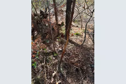 Tbd Stag Road, Gilmer, TX 75644 - Photo 29