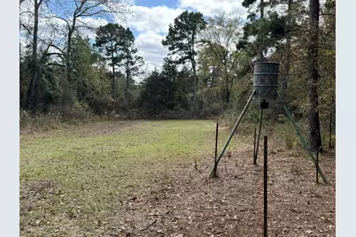 Tbd Stag Road, Gilmer, TX 75644 - Photo 11