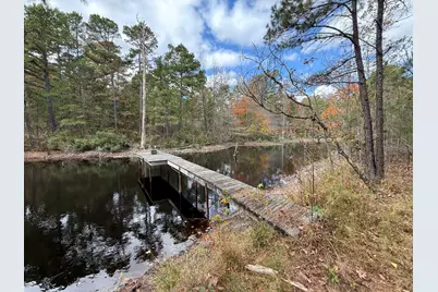 Tbd Stag Road, Gilmer, TX 75644 - Photo 1