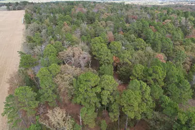 Tbd Stag Road, Gilmer, TX 75644 - Photo 19