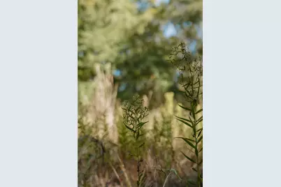 Lot 16 Private Road 5948, Yantis, TX 75497 - Photo 1